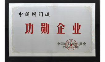 中國閥門城頒發榮譽