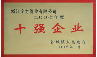 人民政府頒發榮譽