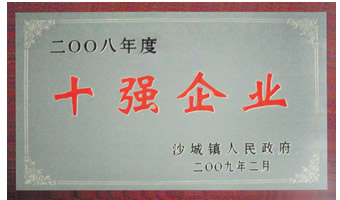 人民政府頒發榮譽